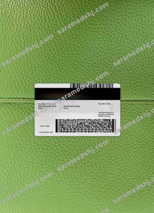 USA Arizona driving license under 21 version 2  photolook BACK